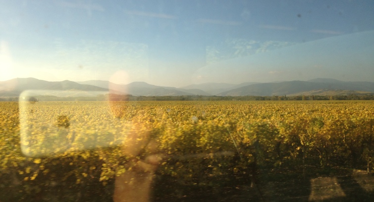 Image de film de test